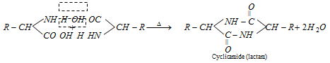 2124_chemical properties of amino acids1.png